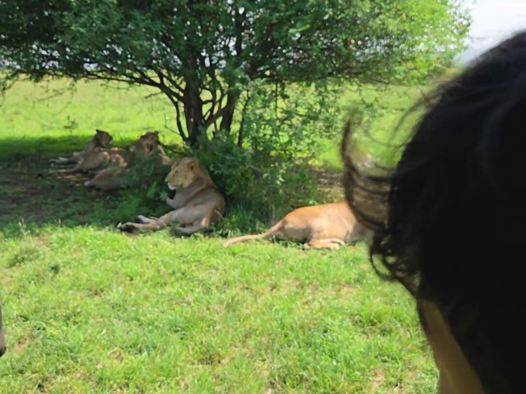 Shayona Safaris & Tours-姆万扎必去景点