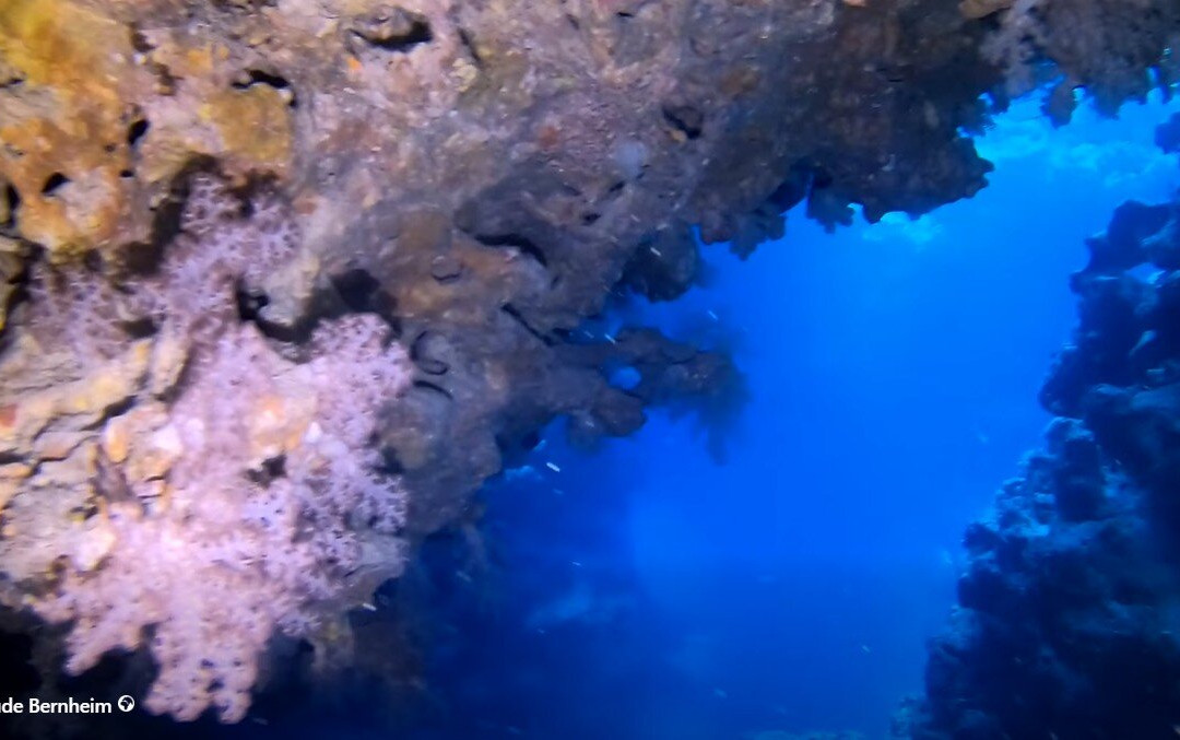 Kunie Scuba Center-Ile Des Pins必去景点