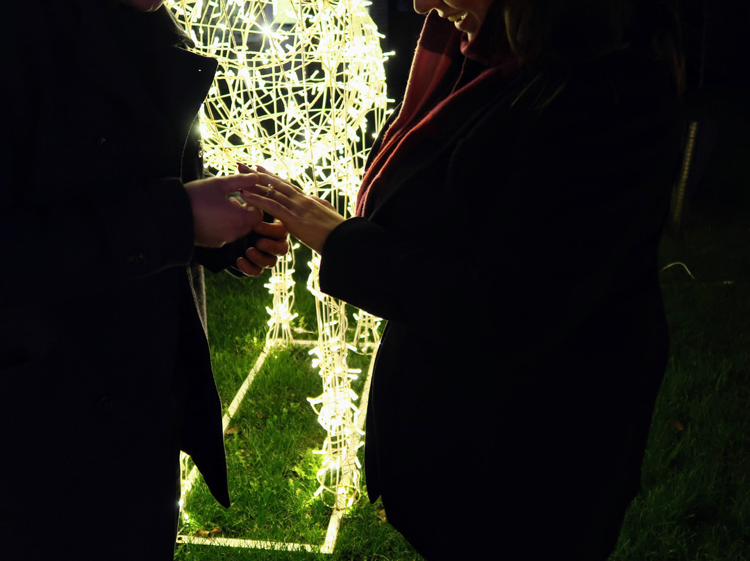 Light Up Trails-罗姆西必去景点