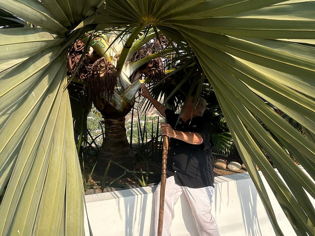 Ola Brisa Gardens-曼萨尼约必去景点