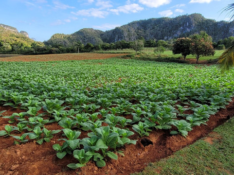 RaimondReise-巴拉德罗必去景点