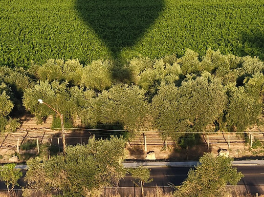Mendoza Balloons-门多萨必去景点