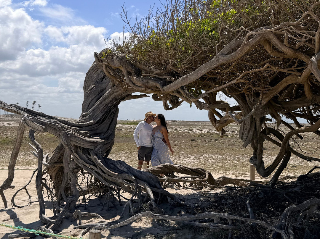 Maykon Passeios Jeri-杰里科科拉必去景点