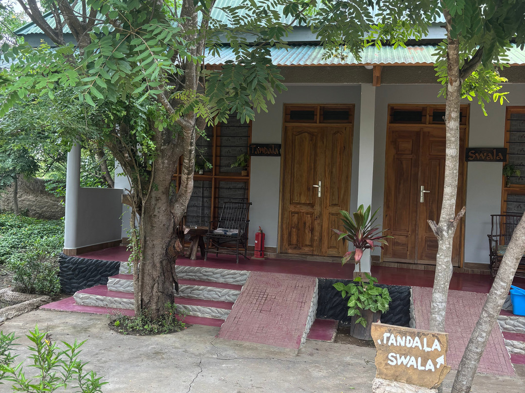 Asante Bibi Safaris And Tours-莫西必去景点