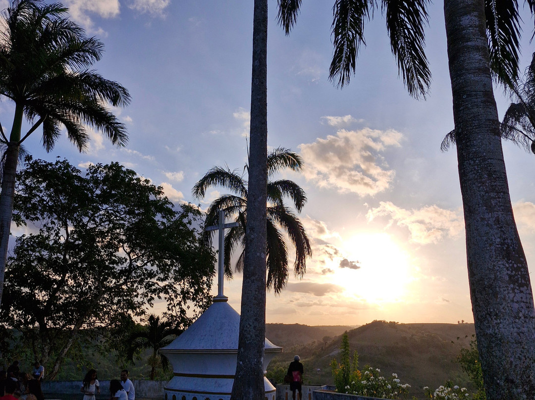 BARTUS Experiências-Bananeiras必去景点