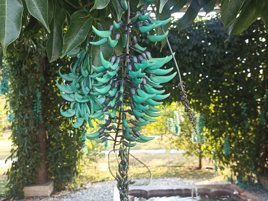 Dilao Sculpture Park-Tepoztlan必去景点