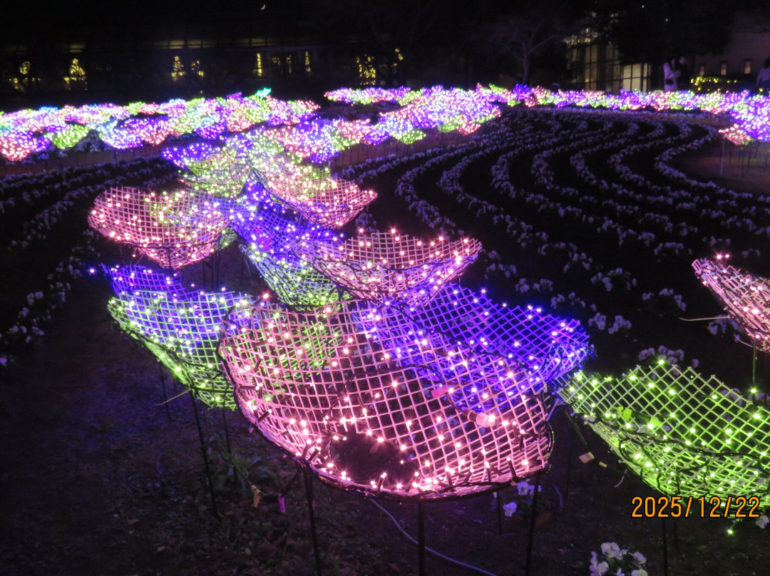 名花之乡-桑名市必去景点
