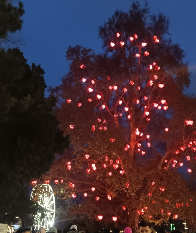 Wiener Christkindlmarkt-维也纳必去景点