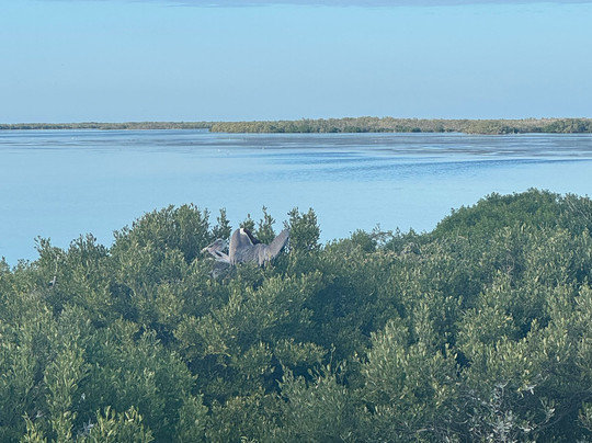 My Holbox Tours-Holbox必去景点