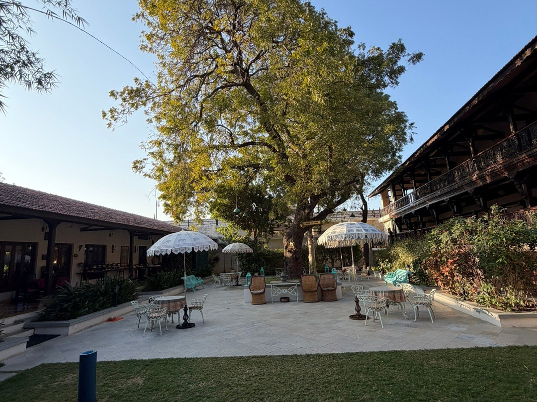 Tree Of Life Darbargadh Dared Gujarat主图