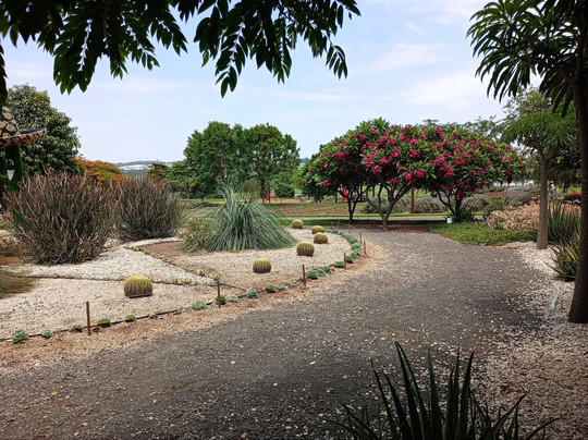 Bloemen Park-Holambra必去景点