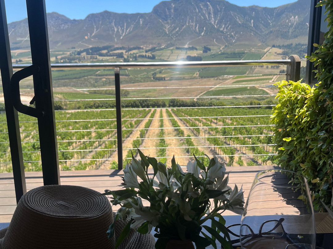 Newton Johnson Family Vineyards-赫曼努斯必去景点