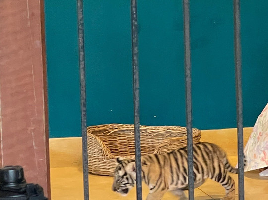 Maipreu-拉威必去景点