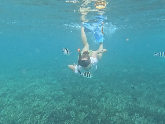 Safari Shwari Mafia Island-Utende必去景点