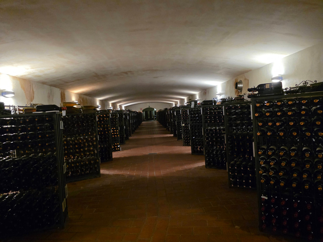 Tenuta di Nozzole-格雷韦伊恩基亚恩蒂必去景点