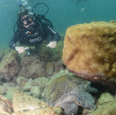 Deep Trip-阿拉伊阿尔港必去景点