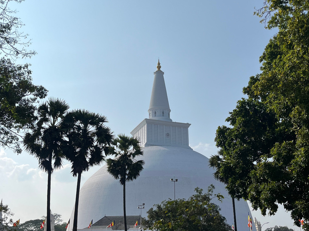 sun cycles work shop and hire-阿努拉德普勒圣城必去景点