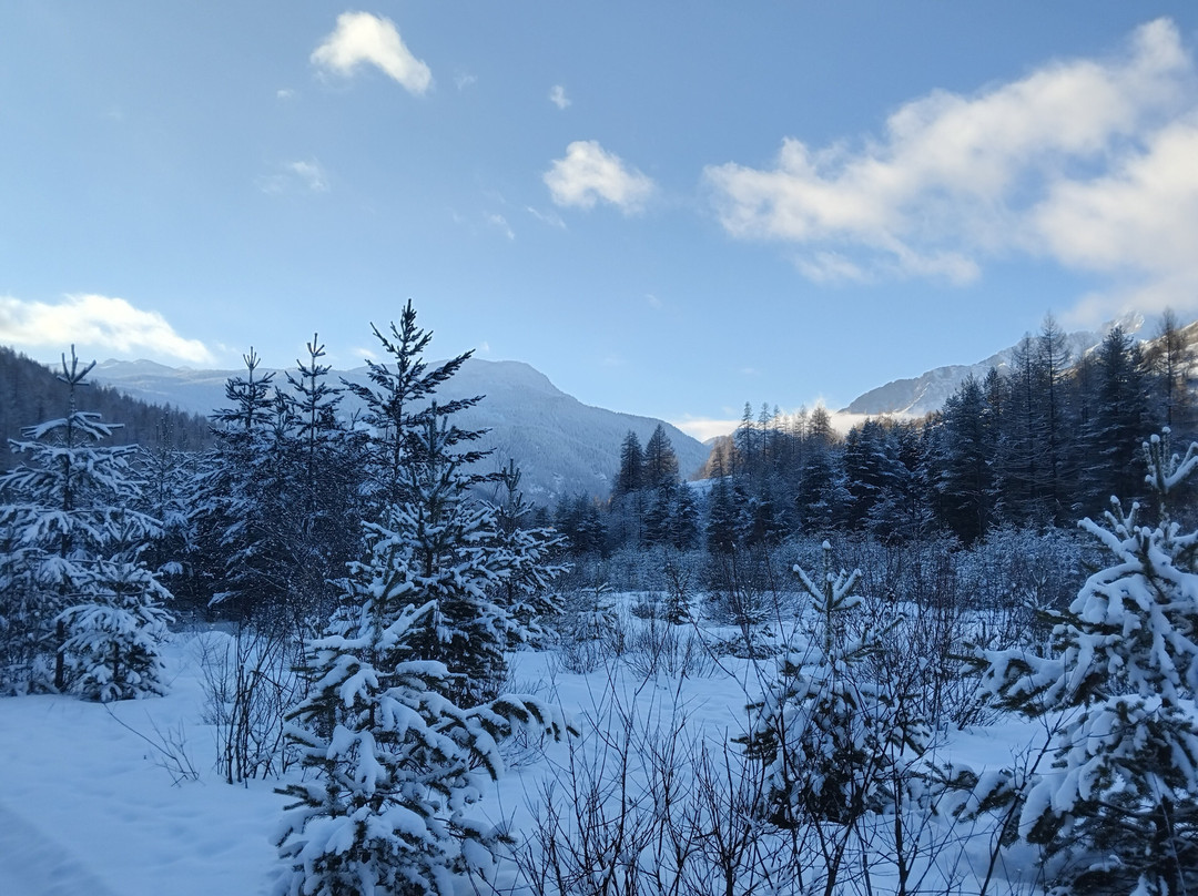 Escursioni Motoslitte-Sauze di Cesana必去景点