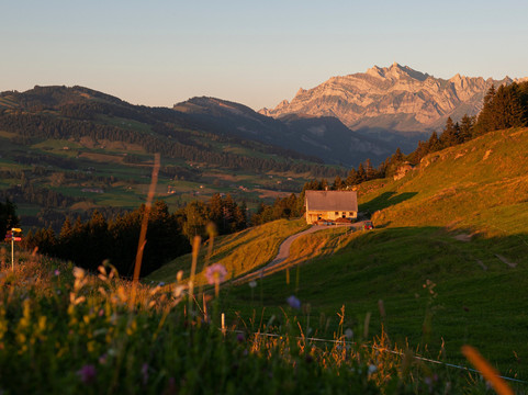 Wolzenalp-Krummenau必去景点