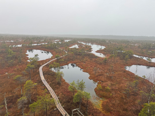 Baltic Holidays-考那斯必去景点
