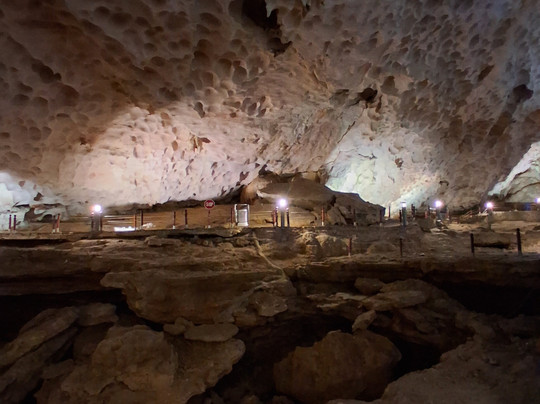 Verdure Lotus Grandeur Cruise-团洲岛必去景点