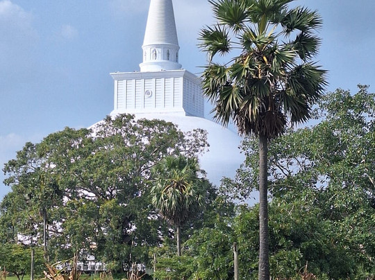 Sri Lanka Chauffeur-尼甘布必去景点
