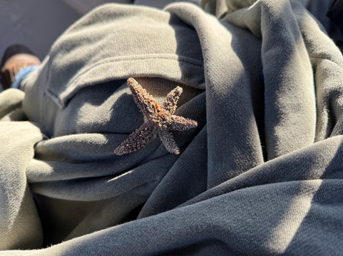 St. Phillips Island Ferry-Saint Helena Island必去景点