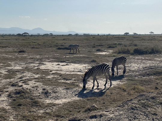 Discovery Kenya con Fragola-瓦塔木必去景点