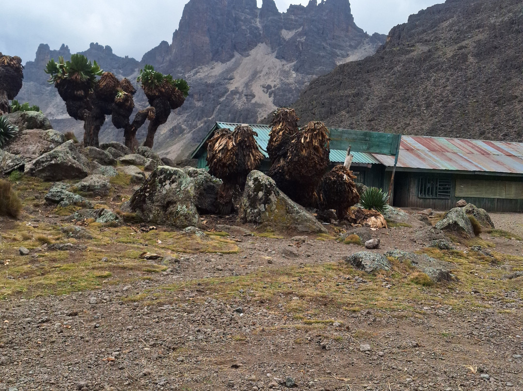 Go To Mount Kenya Climbing-内罗毕必去景点