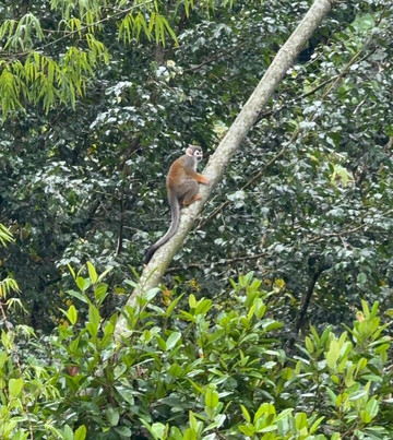 Yana Cocha-Puyo必去景点