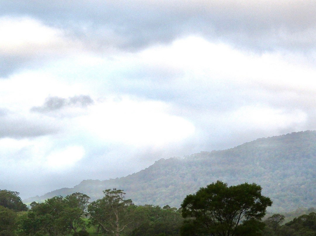 Bendeela Camping and Picnic Area-袋鼠谷必去景点