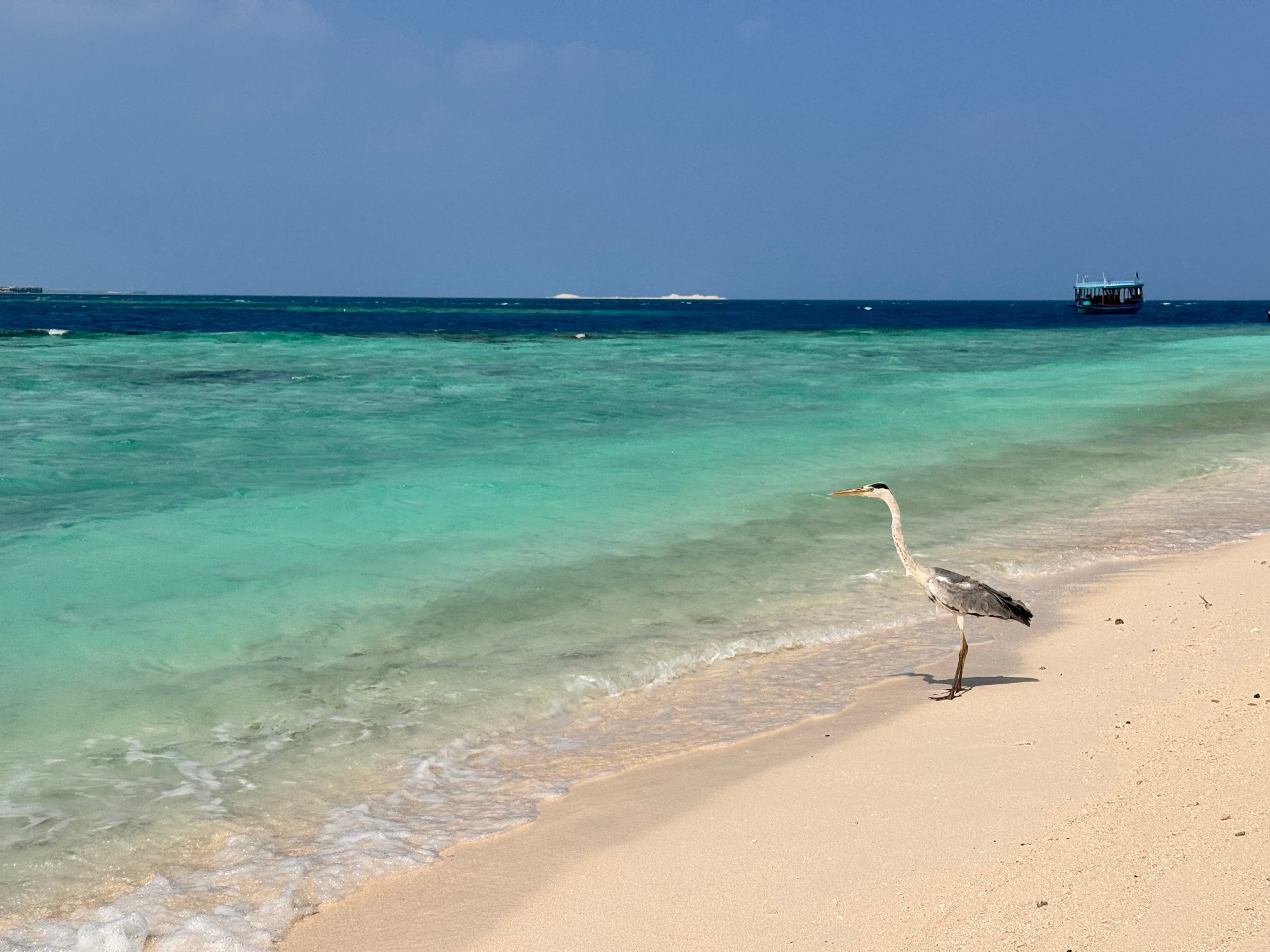 阿达兰瑞娜丽度假村-官方