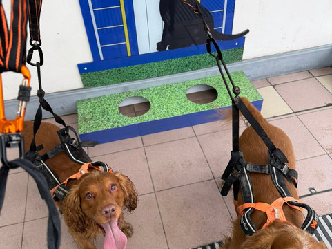 Moto Services Tamworth