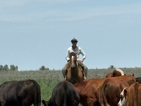 La Rábida - Estancia-San Jose de Mayo必去景点