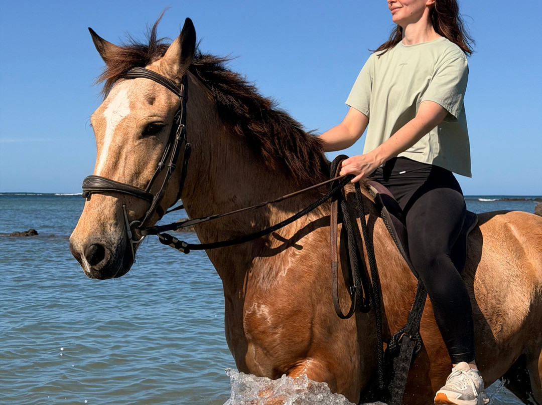 Mirador Equestrian-Playa Avellanas必去景点