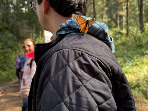 Mariposa Monarca-Angangueo必去景点