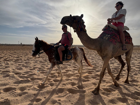 Sea Horse Dahab-Sahl Hasheesh必去景点