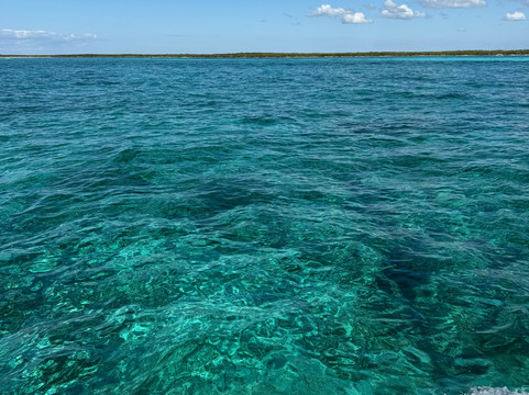 Palmar México-艾库玛尔必去景点