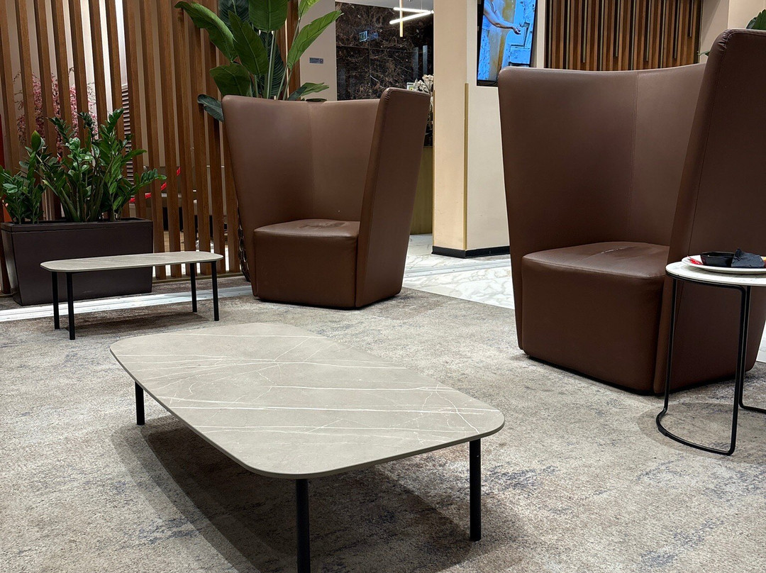 Plaza Premium Lounge (Schengen Area Departures Terminal 1)-菲乌米奇诺必去景点