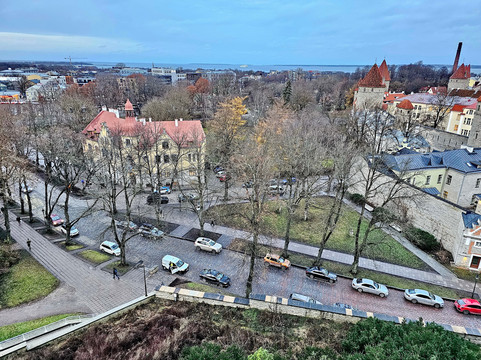 Patkuli Viewing Platform-塔林必去景点