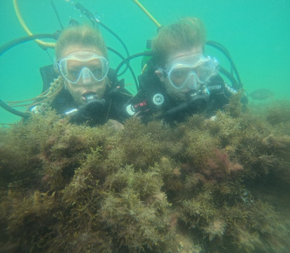 Paraíso das Tartarugas-Bombinhas必去景点