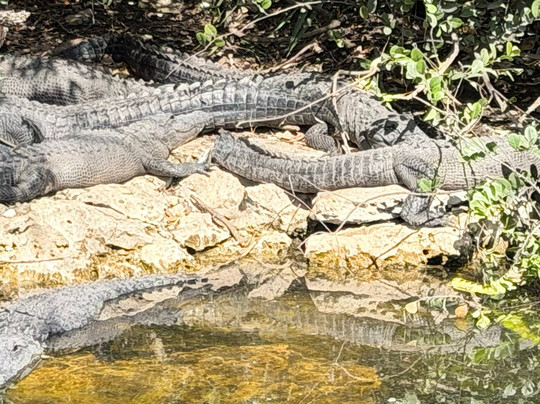 Loop Road-奥乔皮必去景点