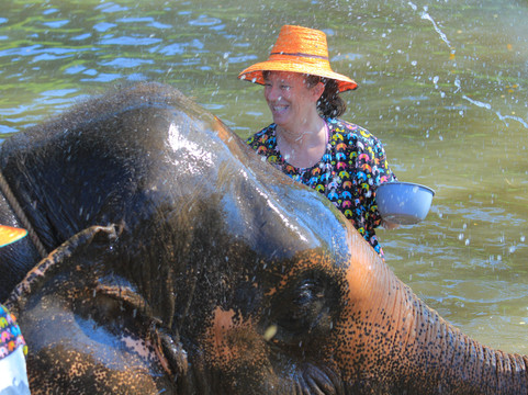 Kanta Elephant Sanctuary-清迈必去景点