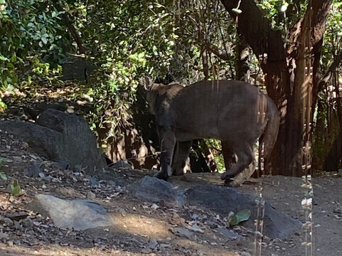 Refugio Animal Cascada-圣若泽迈坡必去景点