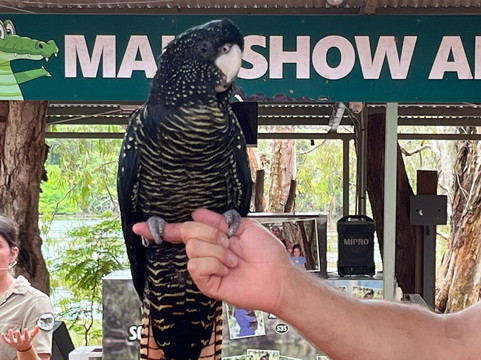 Billabong Sanctuary-汤斯维尔必去景点