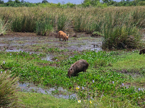 Portal Cambyreta-Ituzaingo必去景点
