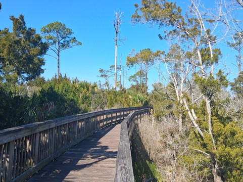 Castaway Island Preserve-杰克逊维尔必去景点