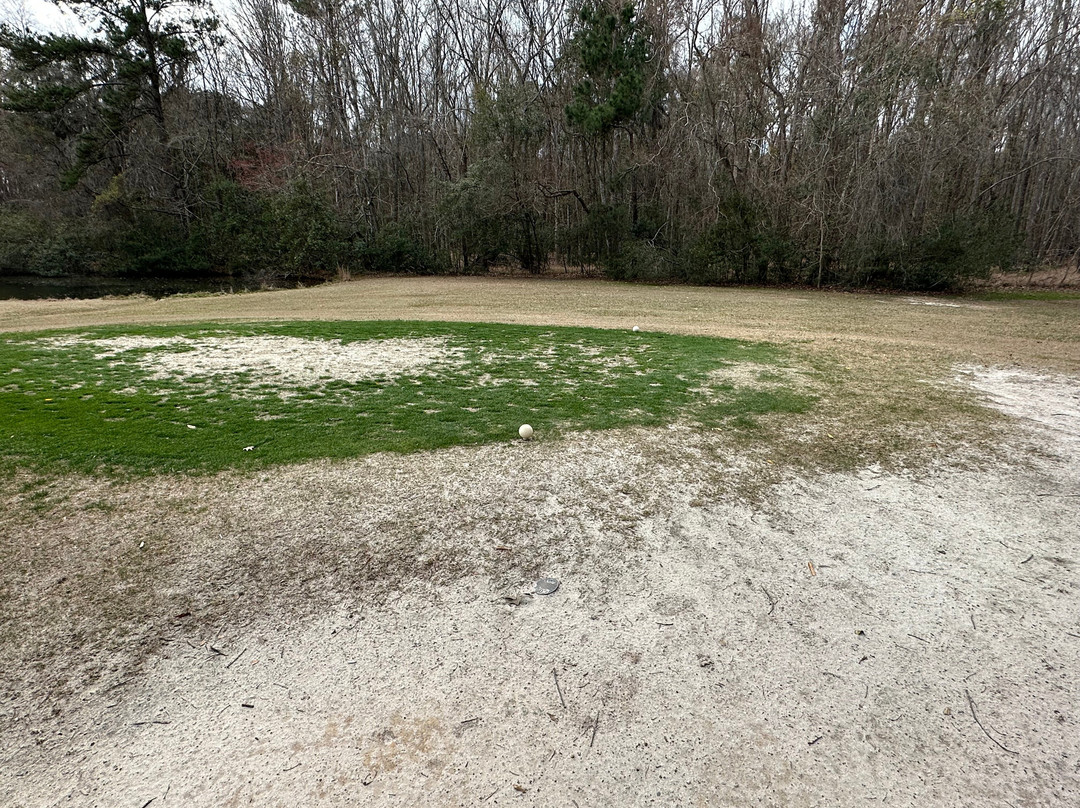 Henderson Golf Club-萨凡纳必去景点