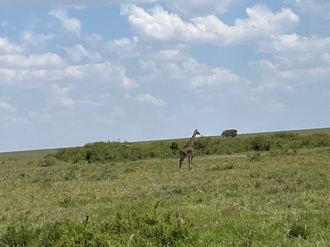 Pinnacle Alpine Tours and Treks-Naro Moru必去景点