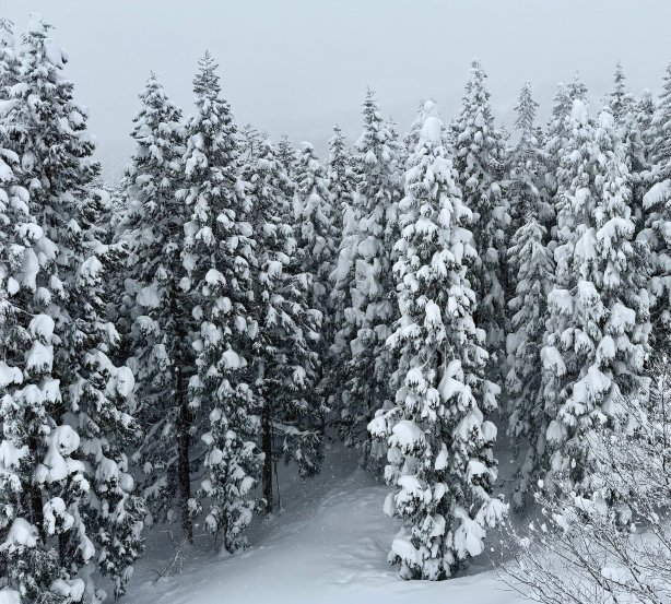 Resort Hotel Alp-官方